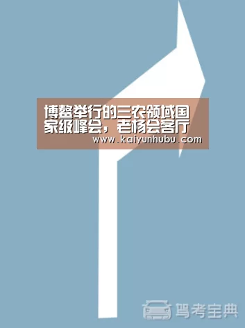 开云 