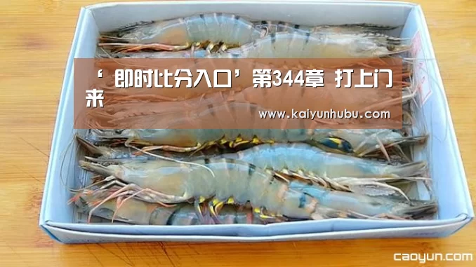 ‘ 即时比分入口’第344章 打上门来(图3) kaiyun官网首页