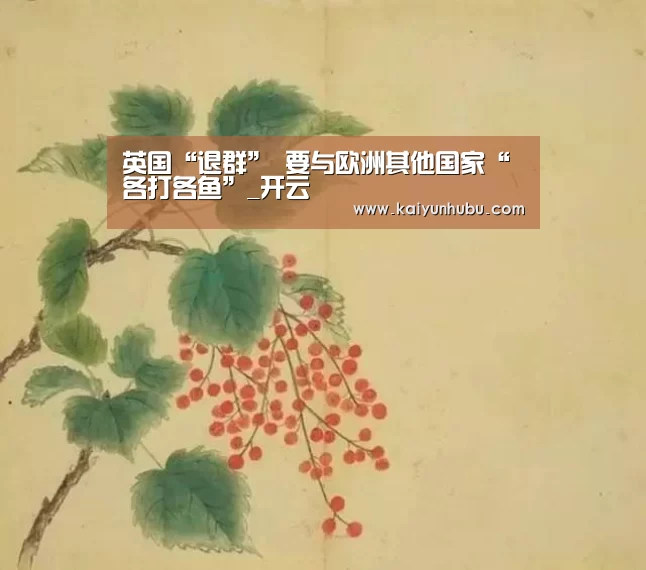  即时比分入口